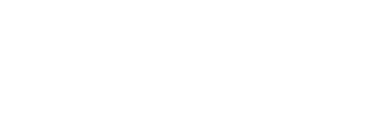 Custom Services Logo